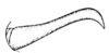 Hebardomastax atopa (Hebard, 1923): Pl. 12, Fig. 2(after type). male, cercus, lateral view. (Otu).