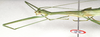 Sipyloidea rentzi Brock & Hasenpusch, 2007: copyright ANIC. female: head and thorax, lateral view (holotype). (Otu).