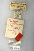 CollectionObject 1594384; 0d8dedc1-3894-4d4d-bda5-534118241e95: labels (paratype of Gastrimargus grossiceps). (CollectionObject).