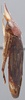 Habitus, lateral view on Amberbakia Distant, 1912: Lateral. (Observation).