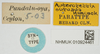CollectionObject 1575736; 9e878cbf-1809-4b8c-913f-8c37f996ba1c, NHMUK10924461: male, labels (syntype). (CollectionObject).