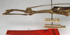 CollectionObject 1562115; fdda5288-fc13-4d19-b6d9-0ce6f54dc7e9: copyright NMW, Vienna. male: head and thorax, lateral view (syntype). (CollectionObject).;CollectionObject 1562116; 60ab4a1f-8fd5-4510-b1a8-175709ecbabe: copyright NMW, Vienna. male: head and thorax, lateral view (syntype). (CollectionObject).