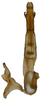 Aedeagus, ventral view on Andanus sordidus (Lozada, 1998): ventral view. (Observation).