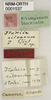 CollectionObject 1529767; ac3f7009-db4d-49a9-bfb9-8955277e2dd9: labels (holotype). (CollectionObject).