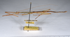 CollectionObject 1559580; 91b57ccb-65ed-4efa-9e80-2350cf0598a2: copyright ANSP. male, lateral view (syntype). (CollectionObject).;CollectionObject 1559581; 2a99ad7d-5733-4ed6-bc4b-4ba57605c87f: copyright ANSP. male, lateral view (syntype). (CollectionObject).