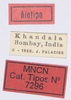 CollectionObject 1535848; 1c59940d-b829-46b1-9bf3-8d9c2df4ac33: labels. (CollectionObject).