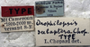 CollectionObject 1539691; bb307042-d292-43c6-9638-4f89d8e8fc43: labels (holotype). (CollectionObject).