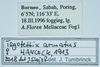 CollectionObject 1583753; 1f2ade45-ea71-48b9-af9d-021b03b20c8c: labels. (CollectionObject).