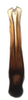Aedeagus, posterior view on Biza craspa Kramer, 1962: Male holotype [USNM]: aedeagus, posterior view. (Observation).