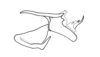 Dichroplus silveiraguidoi Liebermann, 1956: Fig. 10. phallic complex without epiphallus, lateral view. (Otu).