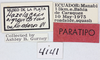 CollectionObject 1514667; MLP4141', d9e15fa4-58fc-457d-b773-d975302e5058: labels (paratype). (CollectionObject).