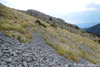 CollectionObject 1598748; d20e4882-4970-49a5-8b40-7fb8235e3c15: habitat. (CollectionObject).
