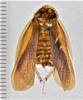 CollectionObject 1599714; c8b6366f-0316-46c9-8523-f019c0d94b9e: (CollectionObject).