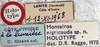 CollectionObject 1537829; d925beb5-408c-4a14-a023-d289b24fcab8: labels (holotype). (CollectionObject).
