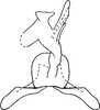 Connective on Erythridula obliqua (Say, 1825): Aedeagus and connective. (Observation).