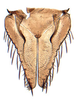 Subgenital plate: Bahita infuscata, subgenital plates and valve, ventrally (NMNH). (Observation).