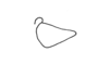 Phaulacris gracilicornis (Bruner, 1911): Fig. 167. male cercus, outer face. (Otu).