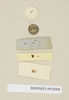 Salganea morio (Burmeister, 1838): Copyright Natural History Museum, London. Labels from holotype (female nymph) of synonym Panesthia conica Walker, 1868 in BM(NH). Underside. (Otu).