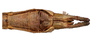 CollectionObject 1597524; 9ca47b68-b8b5-4a14-bbfa-0f2a3ca13b12: copyright QM. male: head & thorax, lateral & dorsal views (paratype). (CollectionObject).;CollectionObject 1597525; 761d9682-b77b-4757-b0eb-3f12ffa3748c: copyright QM. male: head & thorax, lateral & dorsal views (paratype). (CollectionObject).
