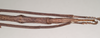 CollectionObject 1558589; a45cfd83-a497-4a20-9695-2ba15312282d: copyright Natural History Museum, London. female: end of abdomen, ventral view (paratype). (CollectionObject).