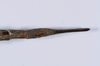 CollectionObject 1557238; 63c671d2-8552-4f83-a8ac-ce71d6e1359b: copyright NHMB, Basel. female: end of abdomen, ventral view (holotype). (CollectionObject).
