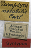 CollectionObject 1505866; 4a9fc905-6cd5-439c-806a-77207d09e73d: labels (syntype). (CollectionObject).