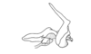 Adelacris atrocephala (Bruner, 1908): Fig. 40. phallic complex, epiphallus and ectophallus membrane removed, lateral view. (Otu).