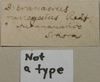 CollectionObject 1587097; 3a806c66-7999-46fd-901b-4da7dda52c15: labels. (CollectionObject).