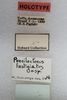 CollectionObject 1524984; 0391b217-c354-4c7e-8925-74ae50b2f9dc: labels (holotype of Poecilocloeus fastigiatus). (CollectionObject).