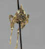 CollectionObject 1523461; 41974836-27c8-4496-a55f-0bb2362d6ead: male, frontal view (holotype). (CollectionObject).