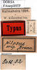 CollectionObject 1505370; 939d45b6-a1f9-4eda-b34e-04115791fd5b: labels (holotype). (CollectionObject).