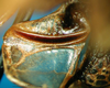 CollectionObject 1500393; c9456699-26d2-4e6a-bd06-3193c8f8fed9, DORSA BTpolscuS01: male stridulatory file (syntype). (CollectionObject).