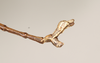 CollectionObject 1561471; NHMUK(SF IMPORT DUPLICATE) 844552-844553, 831e2883-0246-4af7-a7d7-07fa805d31b7: copyright Natural History Museum, London. male: end of abdomen, lateral view (syntype). (CollectionObject).