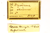 CollectionObject 1589296; 45c3ee4c-ea0b-4d1b-8f2e-ceec46a70713: labels (syntype). (CollectionObject).