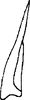 Aedeagus, ventral view: Aedeagus, ventral view. (Observation).