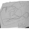 Pygofer, lateral view: Subgenital plate. (Observation).