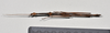 CollectionObject 1558581; 5094e634-967d-4141-83cf-733a7e174ce9: copyright NTUC. male, dorsal view (syntype). (CollectionObject).;CollectionObject 1558582; 20db8149-d18d-4462-8167-11f604b61075: copyright NTUC. male, dorsal view (syntype). (CollectionObject).