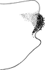 Pygofer appendages on Eurhadina (Singhardina) robusta (Mahmood, 1967): Pygofer lobe (after Mahmud, modified). (Observation).