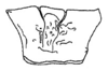 Callimenellus changi Gorochov & Voltshenkova, 2005: Fig. 17. pronotum, lateral view. (Otu).