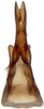 Aedeagus, ventral view: Bonaspeia attia, aedeagus, caudally (INHS). (Observation).