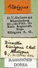 CollectionObject 1502719; 3799a019-e571-4190-a9f7-5de9babf1a62: labels (allotype). (CollectionObject).
