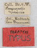 labels (syntype). Depicts CollectionObject 1589284; 0c05edb0-ef04-4bb5-bb43-ec2664c4520b, a CollectionObject.