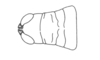 Neopedies matogrossensis Ronderos, 1991: Fig. H. female, head and pronotum, dorsal view. (Otu).