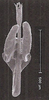 Aedeagus, posterior view: !! display not done !! on Curtara (Curtara) concava DeLong & Freytag, 1976: Male: aedeagus, posterior view. (Observation).