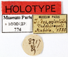 CollectionObject 1587497; MNHN(SF IMPORT DUPLICATE) MNHN-EP-EP774, 6d77975d-97c1-41a2-ad61-30611aacae4f: CC BY-NC-ND 4.0/MNHN - Depraetere Marion - 2014. Holotype, male, of defranceschii Grandcolas, 1993. Specimen number: MNHN-EP-EP774. http://coldb.mnhn.fr/catalognumber/mnhn/ep/ep774. (CollectionObject).