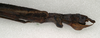 CollectionObject 1557673; 353530a1-eaa6-4c25-af4f-cdd51957933d: copyright NMW, Vienna. female: end of abdomen, lateral view (lectotype). (CollectionObject).