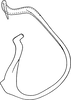 Aedeagus, lateral view on Morinda sibirica (Emeljanov, 1962): Aedeagus, lateral view. (Observation).