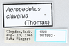 CollectionObject 2775614; e0d71978-672e-40ec-a593-5f7a86a8665b, CNCI 981993: labels. (CollectionObject).