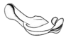 Incacris phaenogaster Rehn, 1942: Fig. 134. endophallus, lateral view. (Otu).