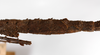 CollectionObject 1559810; b87b6d22-cbb9-4682-9522-e593131d87bb: copyright MNCN, Madrid. male: abdomen, lateral view of synonym Menexenus cristatus (holotype). (CollectionObject).